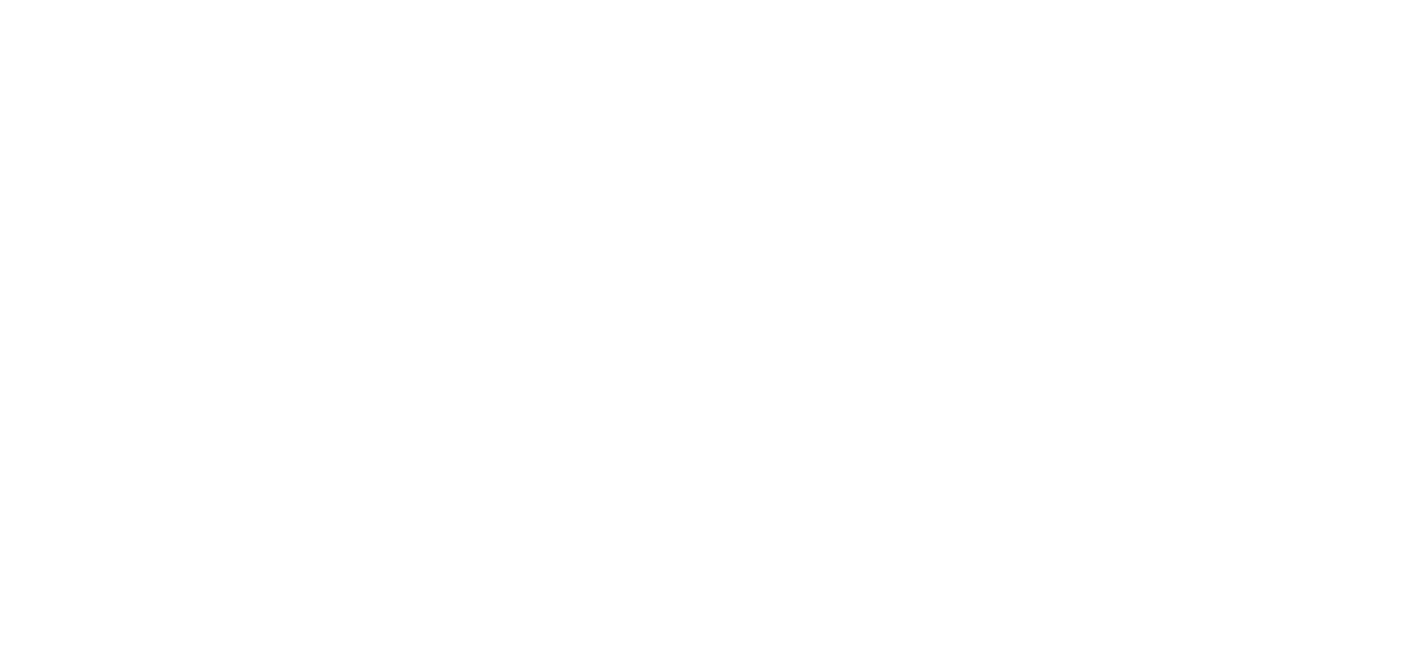 Google Agentic AI